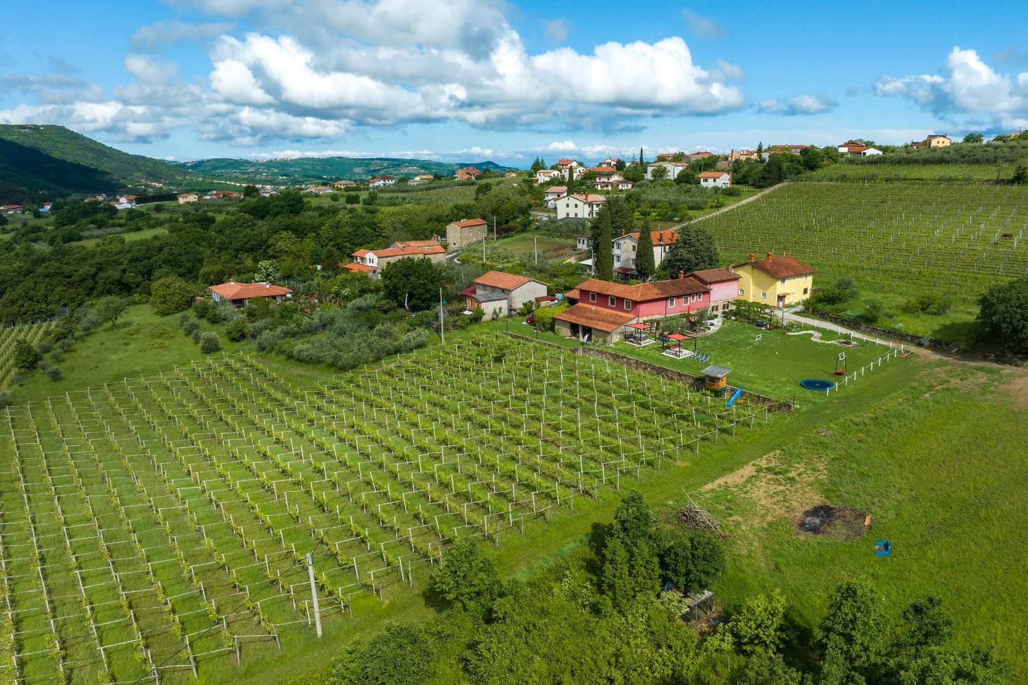 Touristfarm - Apartments "Red Fairytale" Marezige Exterior foto